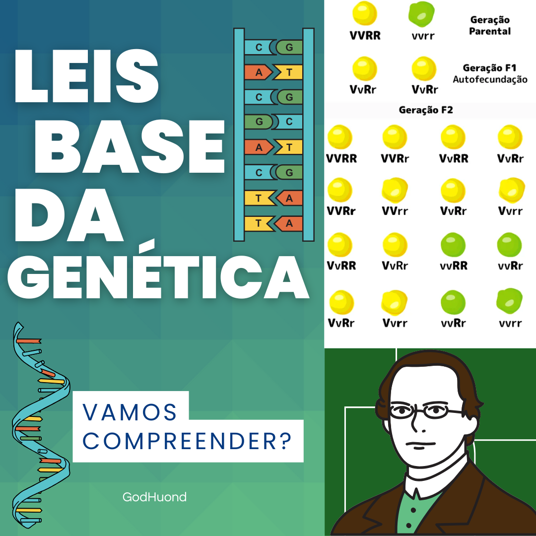 Bem-vindo ao GodHuond